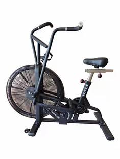 Machine cardio d'exercice Assault Air Bike